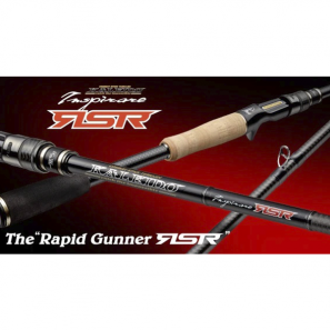 EVERGREEN KALEIDO INSPIRARE RSR